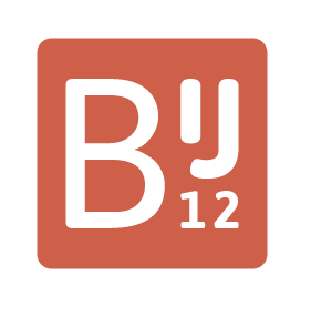 Logo BIJ12